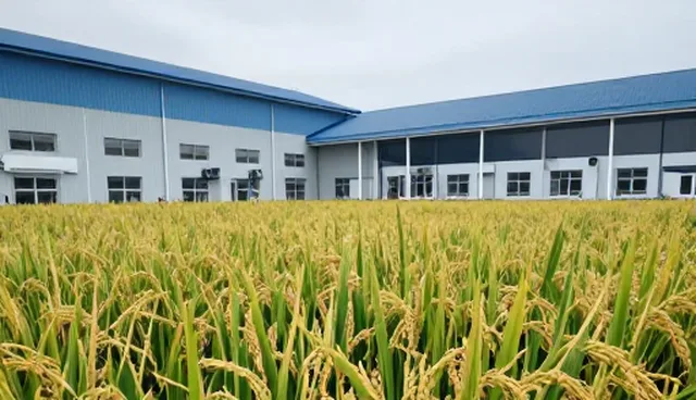 企业种植技术指导：品种选择与适用条件分析